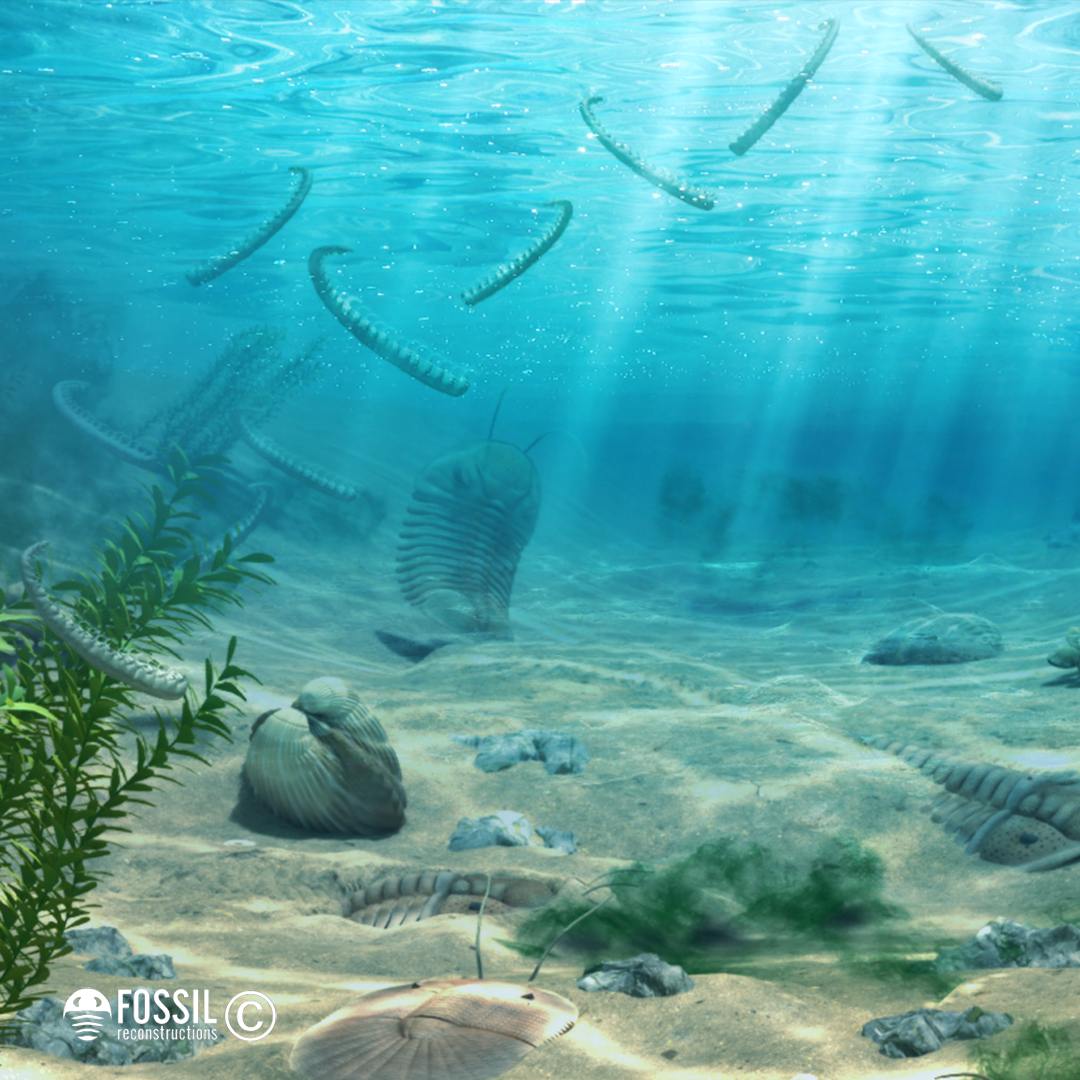 reconstruction of silurian trilobite life